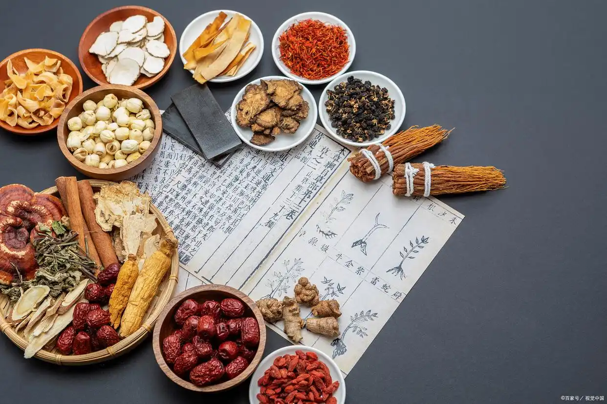 专家“出摊”，药食同源解锁中医“潮玩法”